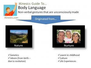 Where Do Our Non-verbal Gestures Come From?